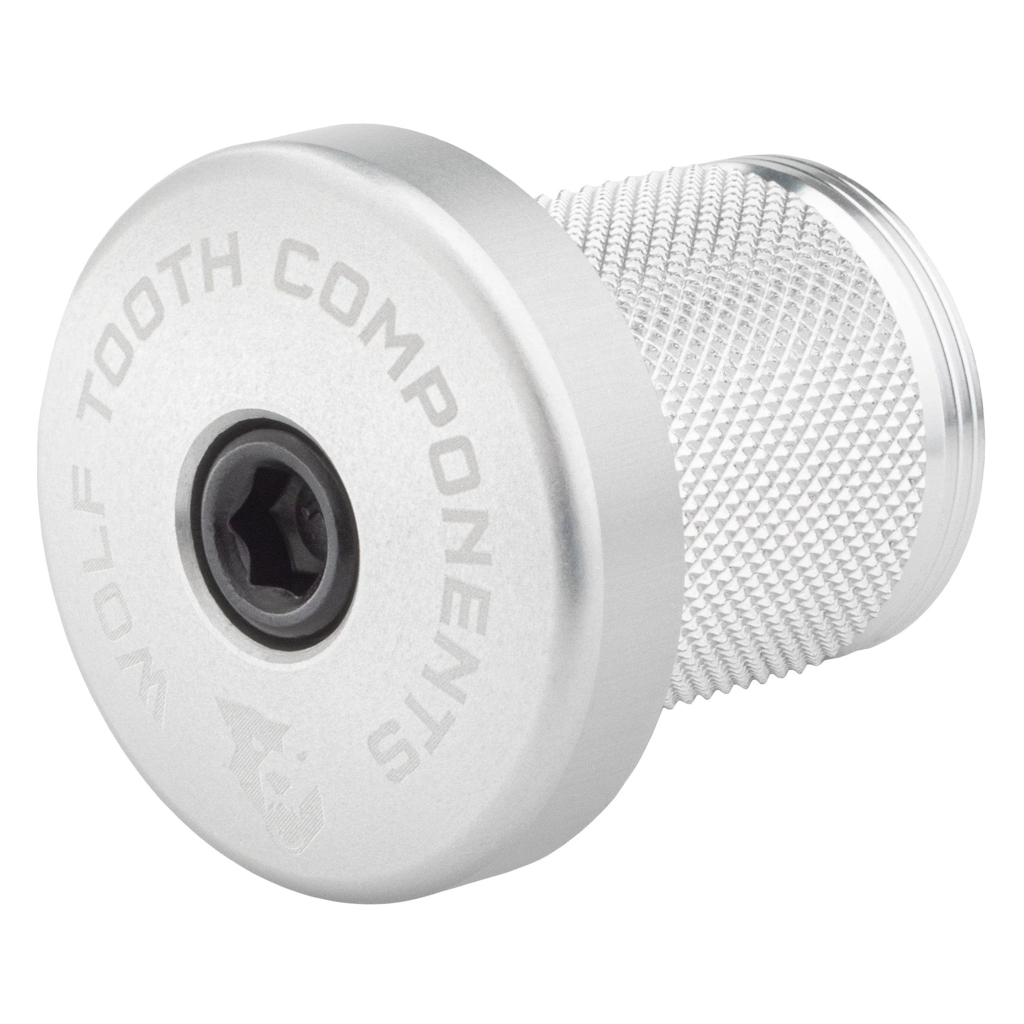 Compression Plug with Integrated Spacer Stem Cap - Image 3