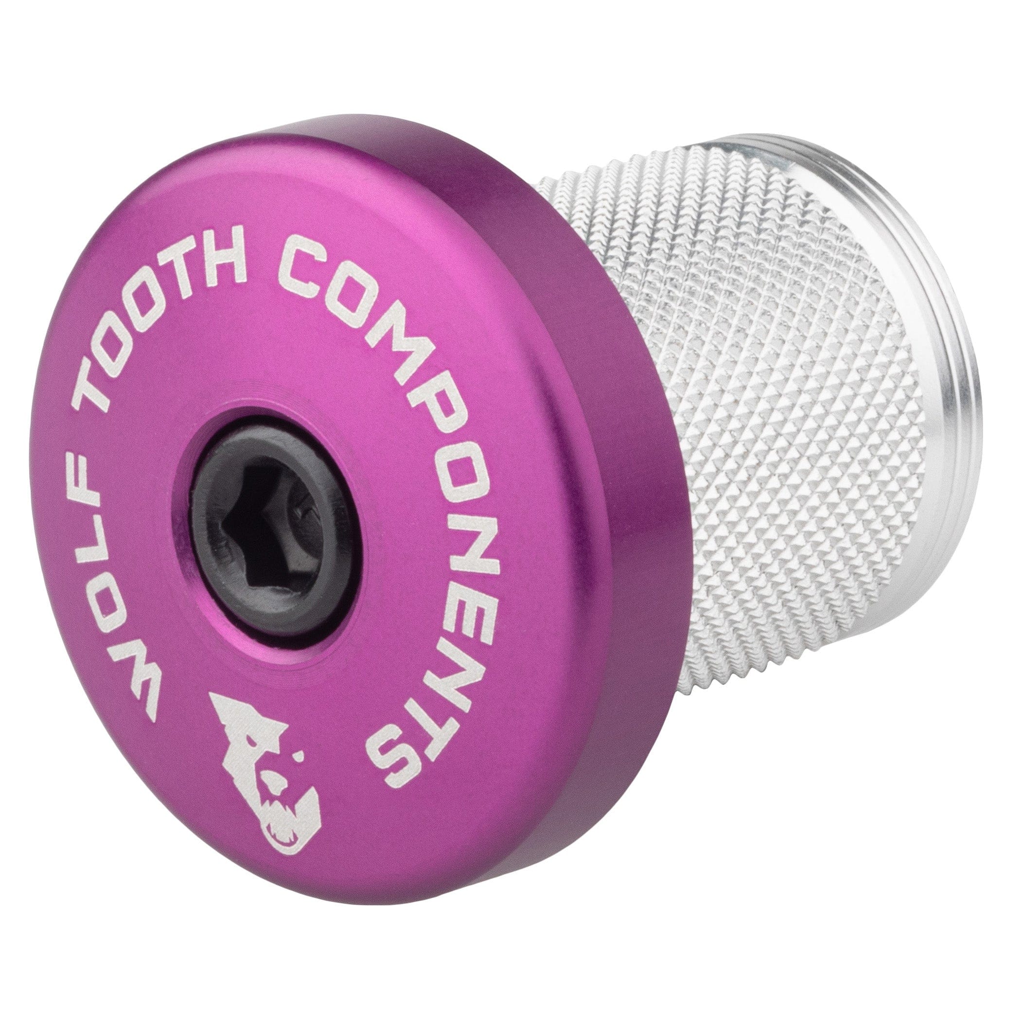 Compression Plug with Integrated Spacer Stem Cap - Image 4